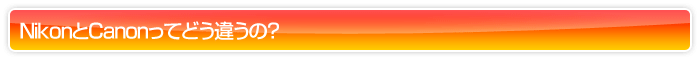 NikonとCanonってどう違うの？