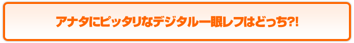 アナタにピッタリなデジタル一眼レフはどっち？！