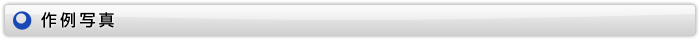 作例写真