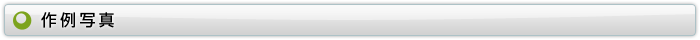 作例写真