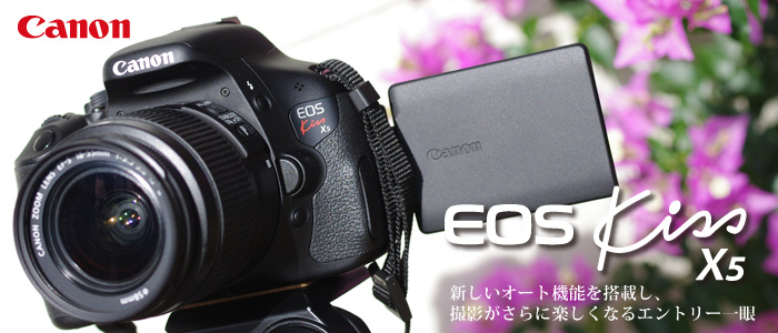 新規上場商品 ショット数1113回♪ Canon キャノン EOS Kiss X5 #5825