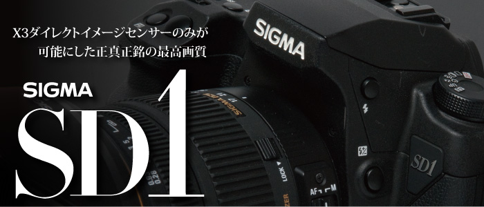 SIGMA デジタル一眼レフカメラ SD1Merrill 4，600万画素 FoveonX3