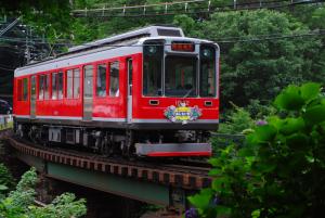 紫陽花電車 紫陽花電車
