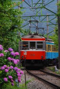 紫陽花電車 紫陽花電車