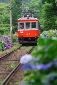 紫陽花電車 紫陽花電車