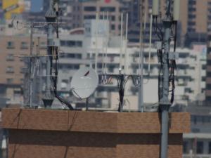 smc-PENTAX A★300mm F4 smc-PENTAX A★300mm F4