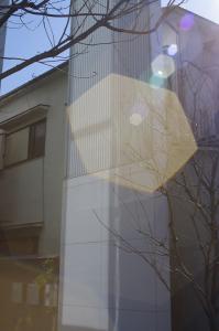 AE F5.6 S1/160 ISO100 SPOT AE F5.6 S1/160 ISO100 SPOT
