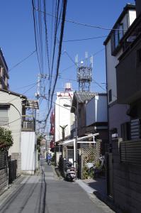 AE F8 S1/160 -0.3 ISO100 AE F8 S1/160 -0.3 ISO100