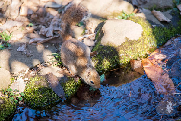 574:『PENTAX HD D FA 70-210mm F4 ED SDM WR』 | KASYAPA