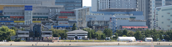 Nikon D300S