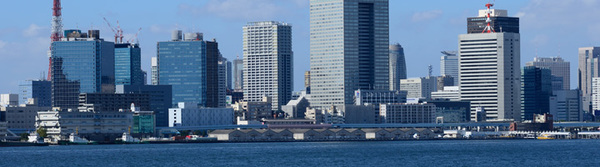 Nikon D300S