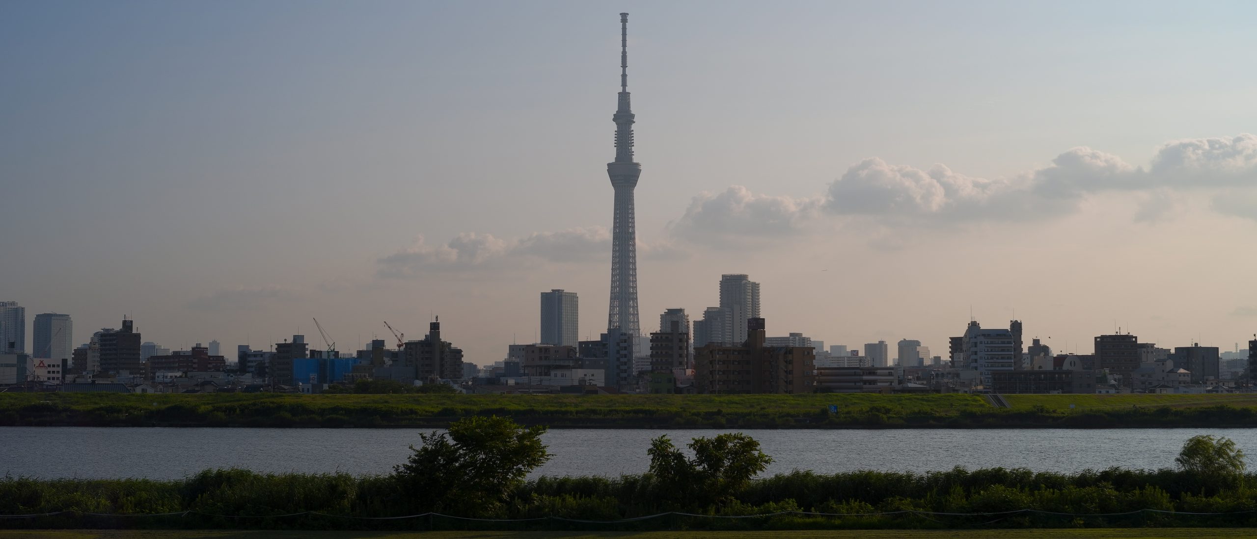 『SIGMA fp』×『Leica Noctilux M50mm F0.95 ASPH.』