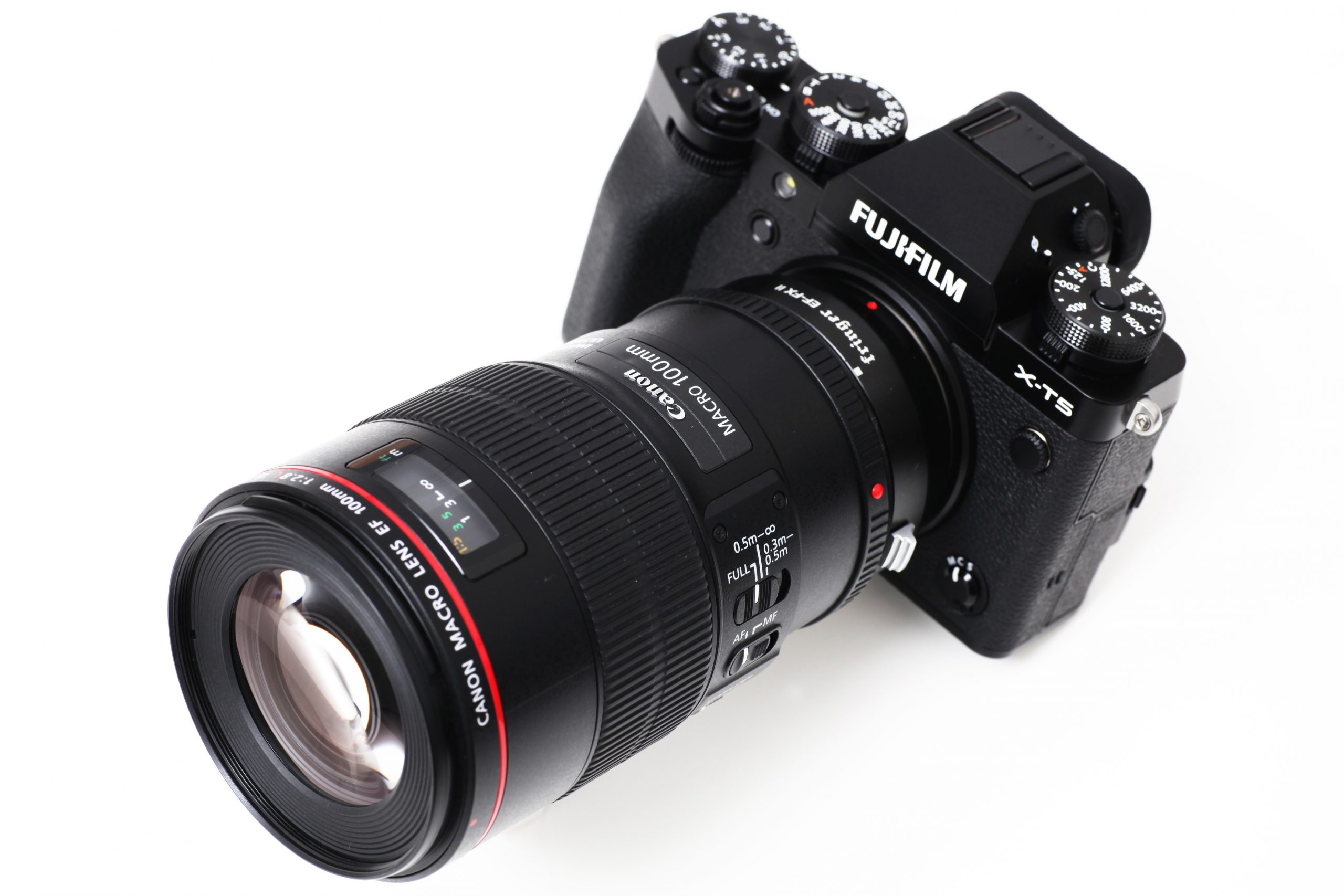 視線の先に光が灯る。『FUJIFILM X-T5』で撮る『Canon EF100mm F2.8Lマクロ IS USM』 | MAP ×  Mountadapter