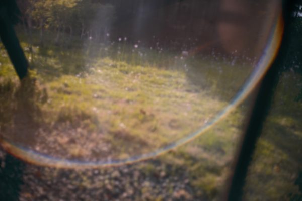 『SIGMA BF』で撮る『Leica ズミクロン C40mm F2』